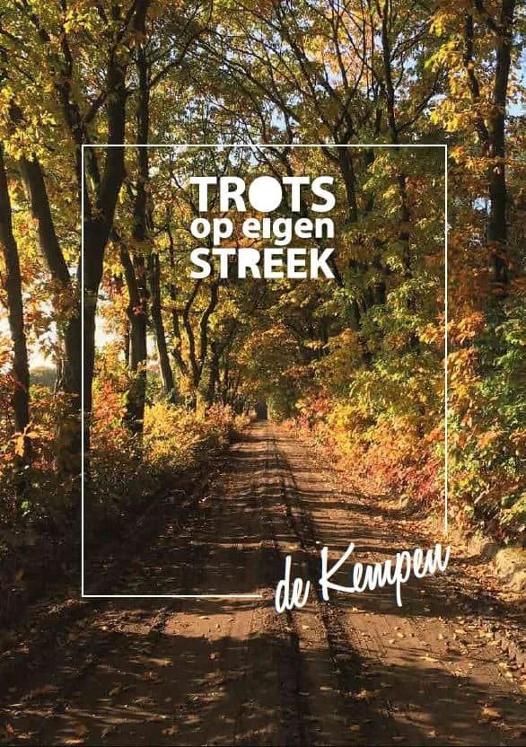 Landal het Vennebos