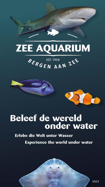 zee-aquarium-vk